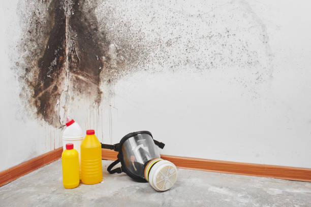 Mold Remediation for Historic Buildings