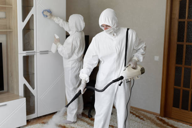 Best HVAC Mold Remediation in Coing, AL