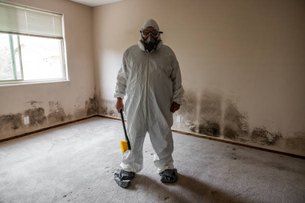 Best Kitchen Mold Remediation in Coing, AL